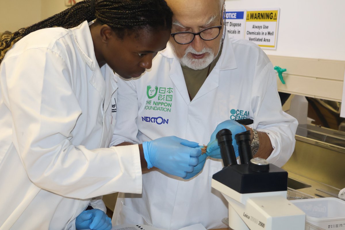 oceancensus's tweet photo. 2/2 We are studying samples from @nektonmission  expedition. Samples will be held in Comoros and South Africa, providing opportunities to lead to new species discoveries and descriptions. More information about the expedition here: https://t.co/vDNLgo88OW https://t.co/n7Af0zQvjq