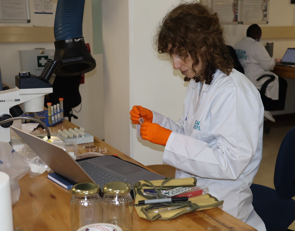 oceancensus's tweet photo. 2/2 We are studying samples from @nektonmission  expedition. Samples will be held in Comoros and South Africa, providing opportunities to lead to new species discoveries and descriptions. More information about the expedition here: https://t.co/vDNLgo88OW https://t.co/n7Af0zQvjq