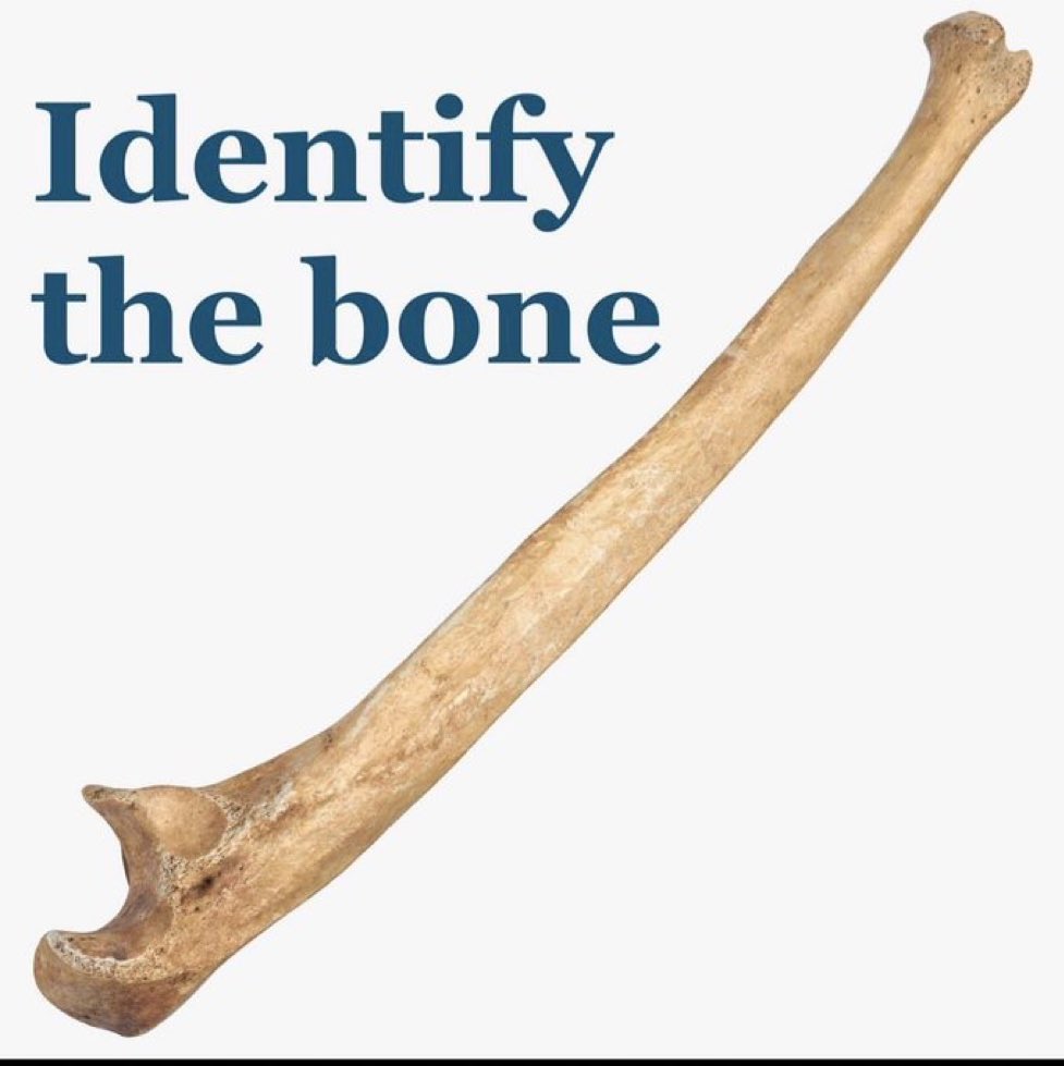 Dr Honey choudhary 🩺 tweet media