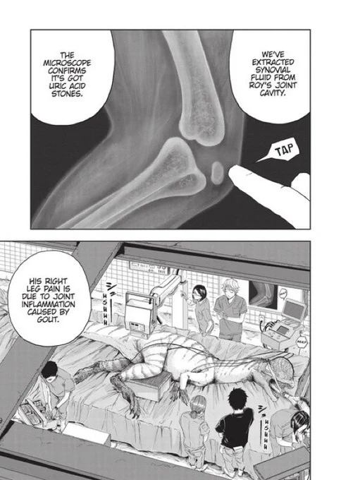 The story about a vet to cure a dinosaur that suffer from gout.(5/8) 