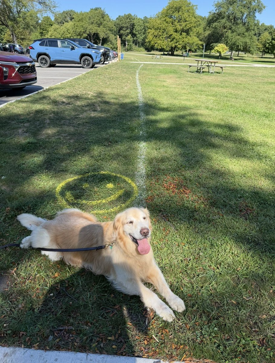 Dave Testa tweet media