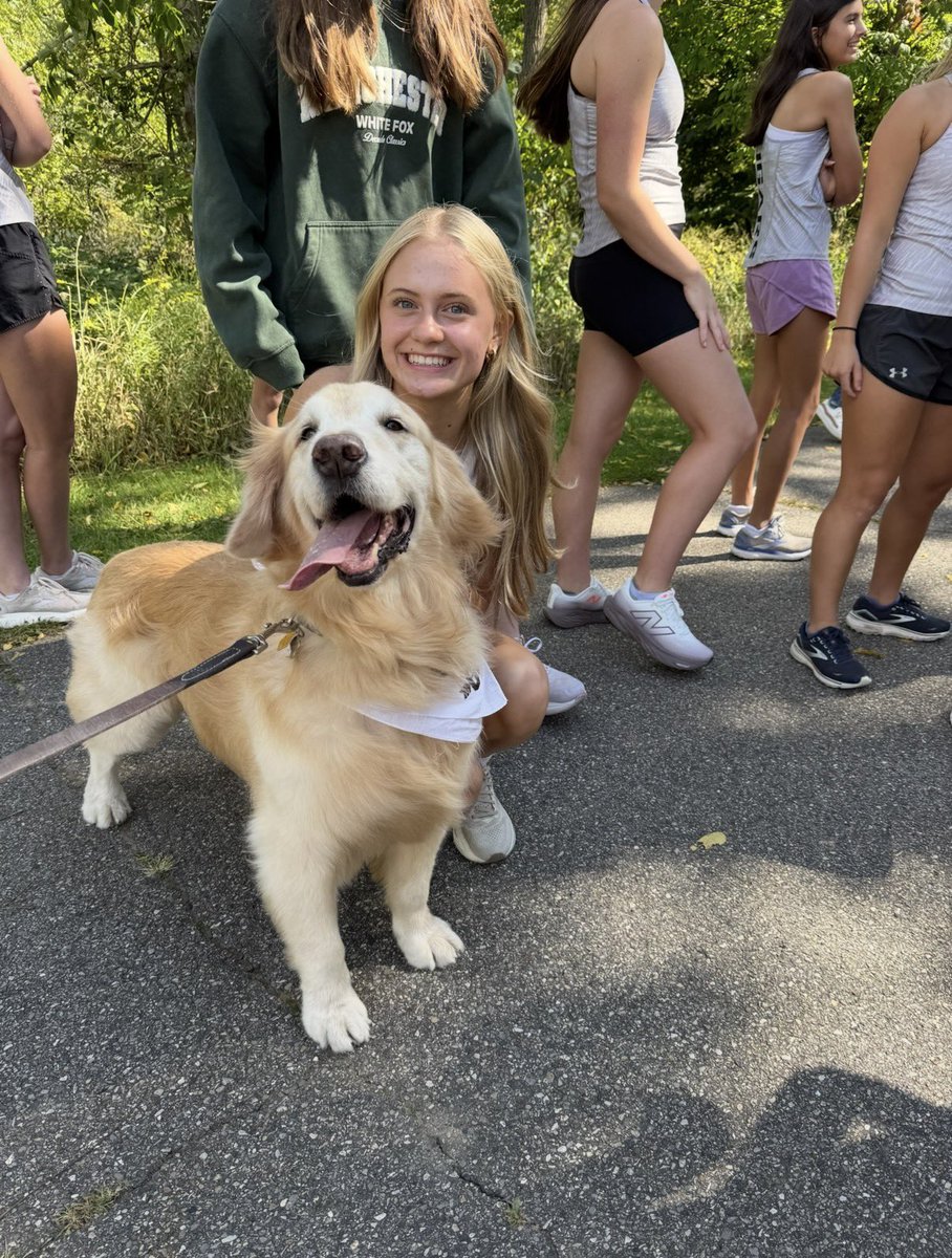 Dave Testa tweet media