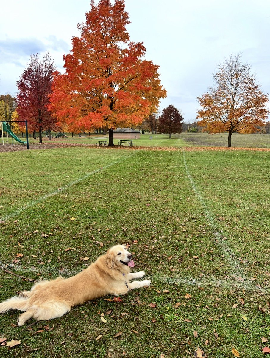 Dave Testa tweet media