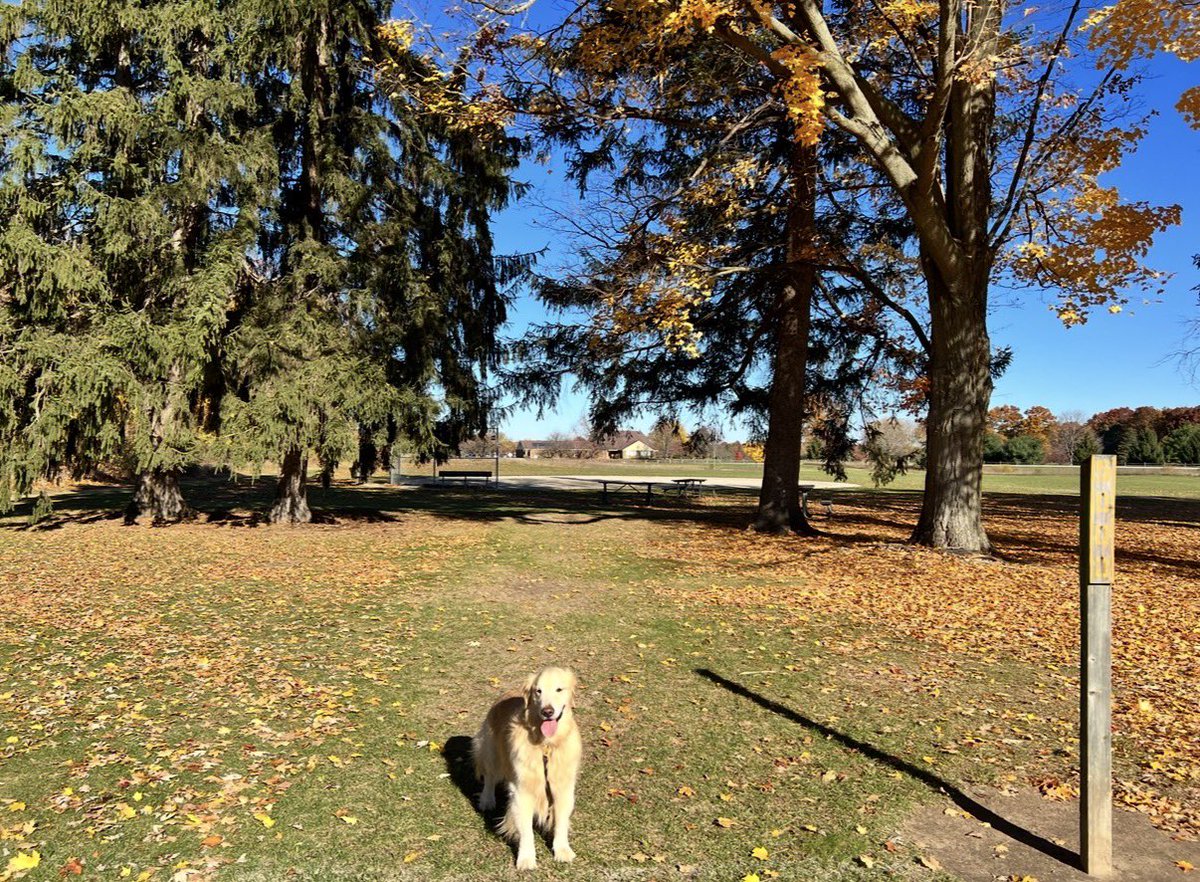 Dave Testa tweet media