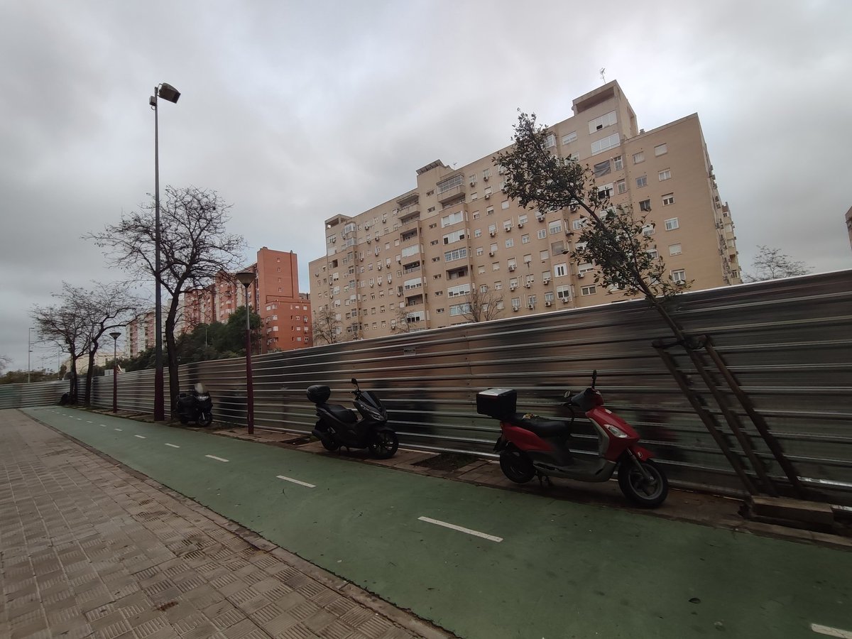 Qué duro ser árbol en Ronda URBANA Norte!!
Y qué vergüenza <a href="/Ayto_Sevilla/">Ayuntamiento de Sevilla</a>, tanto tráfico, tanto alcorque vacío y tanta dejadez!!!!
<a href="/eveliarincon/">Evelia Rincón</a>, 
<a href="/Mj_torres2/">Mj Torres</a>, 
<a href="/jdelarosa100/">Juan de la Rosa</a>, 
<a href="/Dto_Norte/">Distrito Norte (Sevilla)</a>,