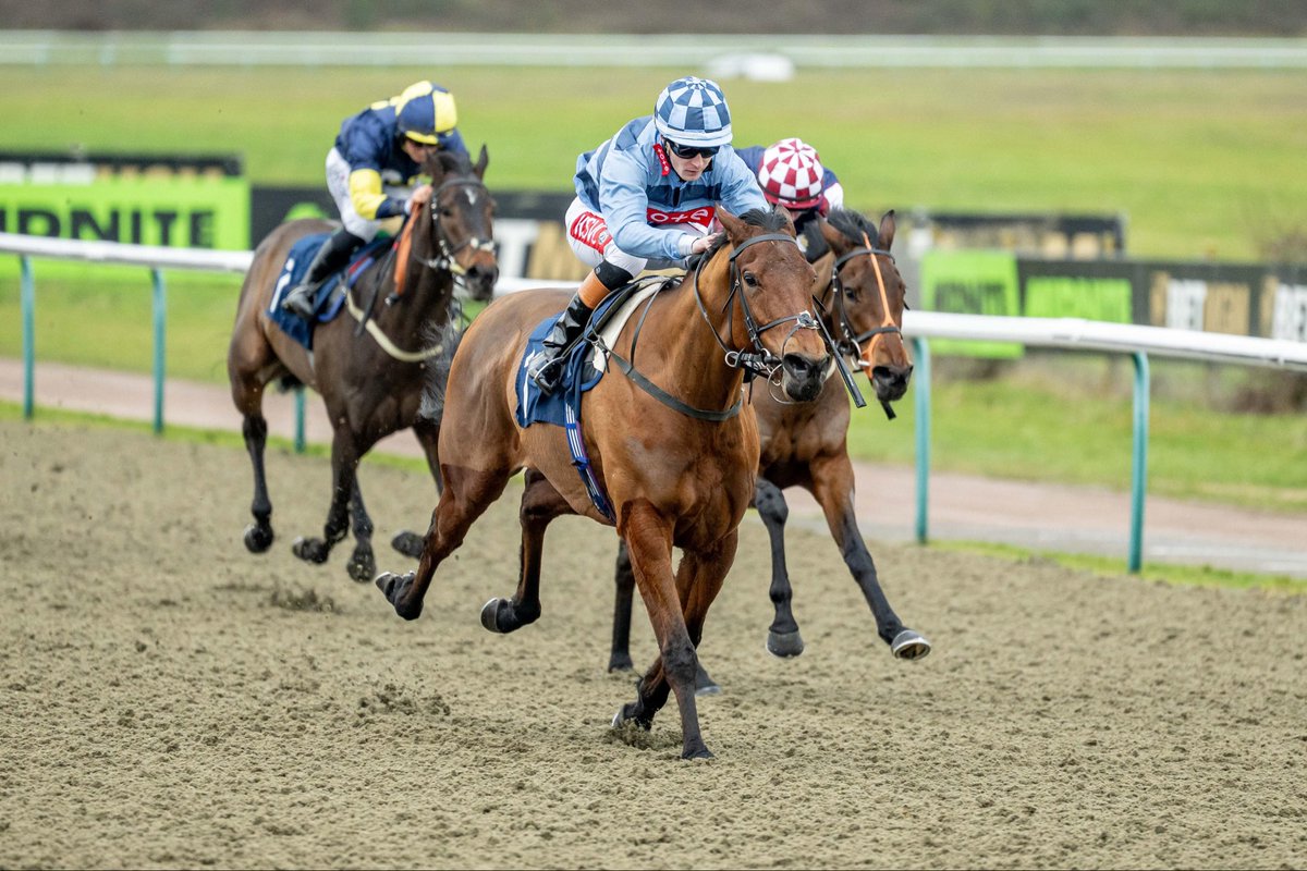 Lingfield Park tweet media