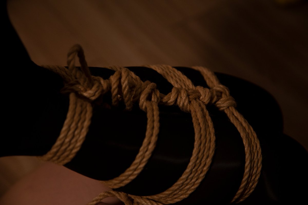 Shibari_Small2 tweet media