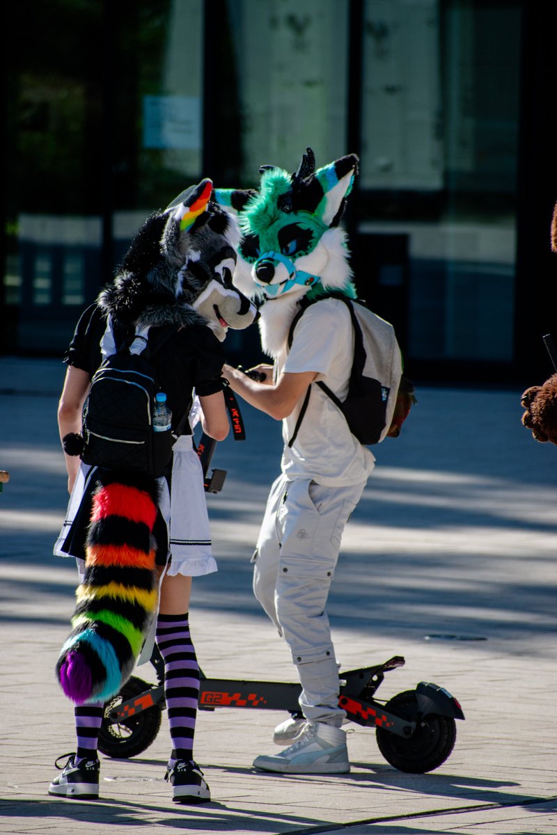 💙ColdTheFox 💙 🔜@NFC tweet media