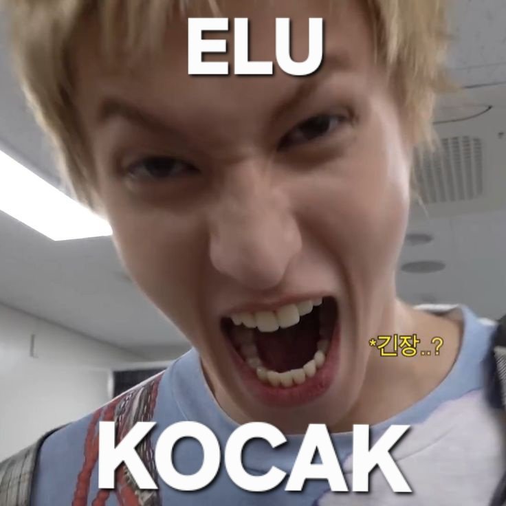 diii🐺 📌Open jasa stalking | WA di Bio tweet media