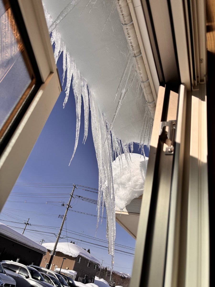 ごまちゃこ tweet media