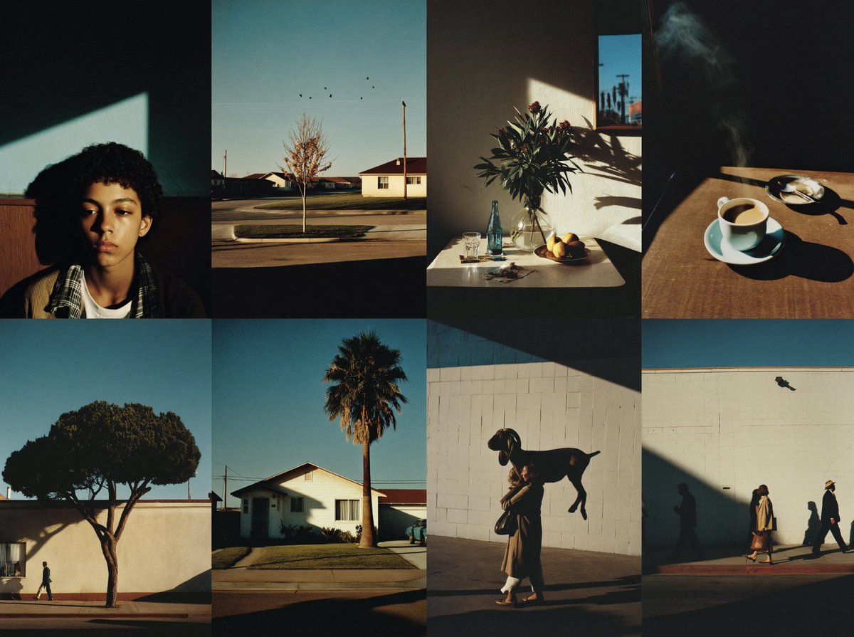 Lukas Lutz tweet media