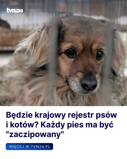 💚 Będzie Krajowy Rejestr Oznakowanych Psów i Kotów! 💪 #KROPiK

💬 „Wprowadzimy jednolity system w Polsce. On będzie kompatybilny również z systemami unijnymi, gdzie każdy pies będzie zaczipowany, będzie zarejestrowany [...] zwierzęta, które są w schronisku, które są w obrocie,
