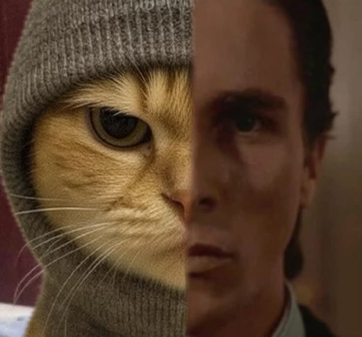 LastJose's tweet image. are you LOCKED IN?! #SNP500