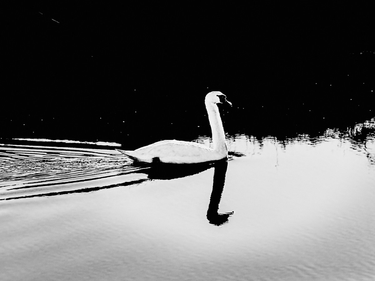 Smitho.graphics | AuDHD Fueled Designer tweet media