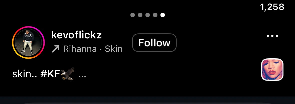 I love how everyone couldn’t wait to use Rihanna’s music on instagram lmao