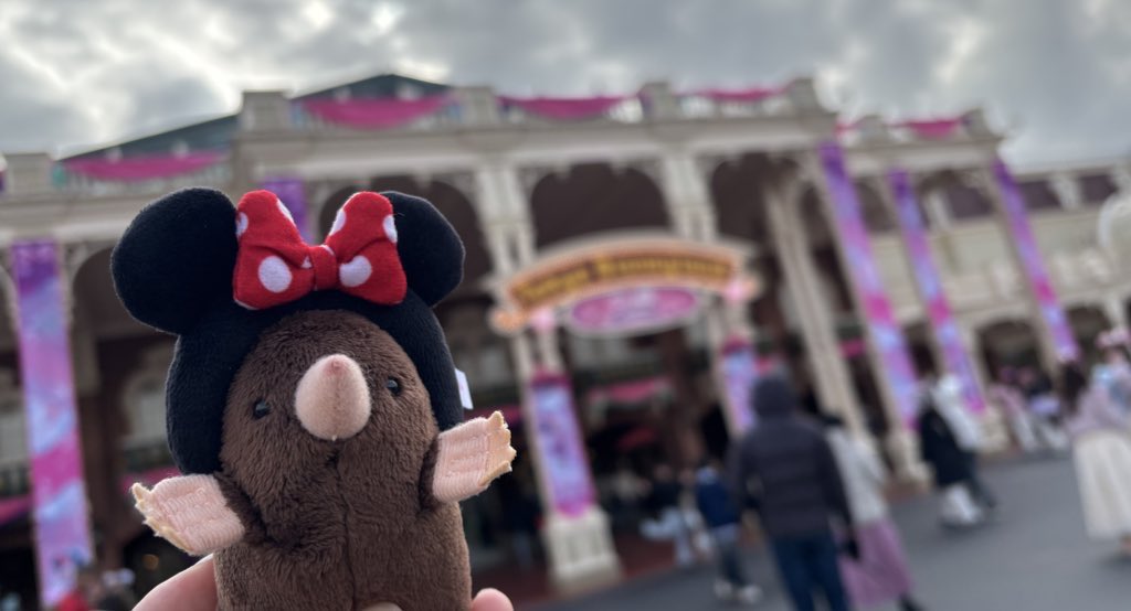 ディズニー好き♡ RT @zb_daruma: この前のディズニー