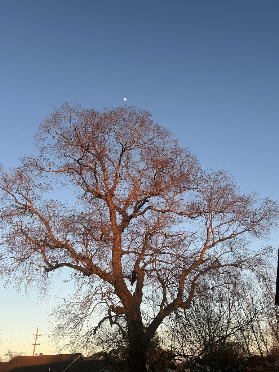 Anesthesia — (Hudson Valley + + +) tweet media