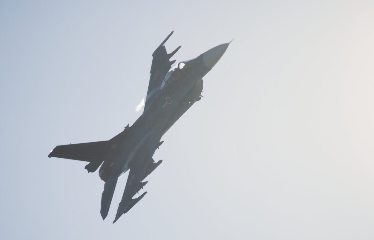 OsintcatJoe's tweet image. 追憶のF-2
#aviationphotography
#写真好きな人と繫がりたい