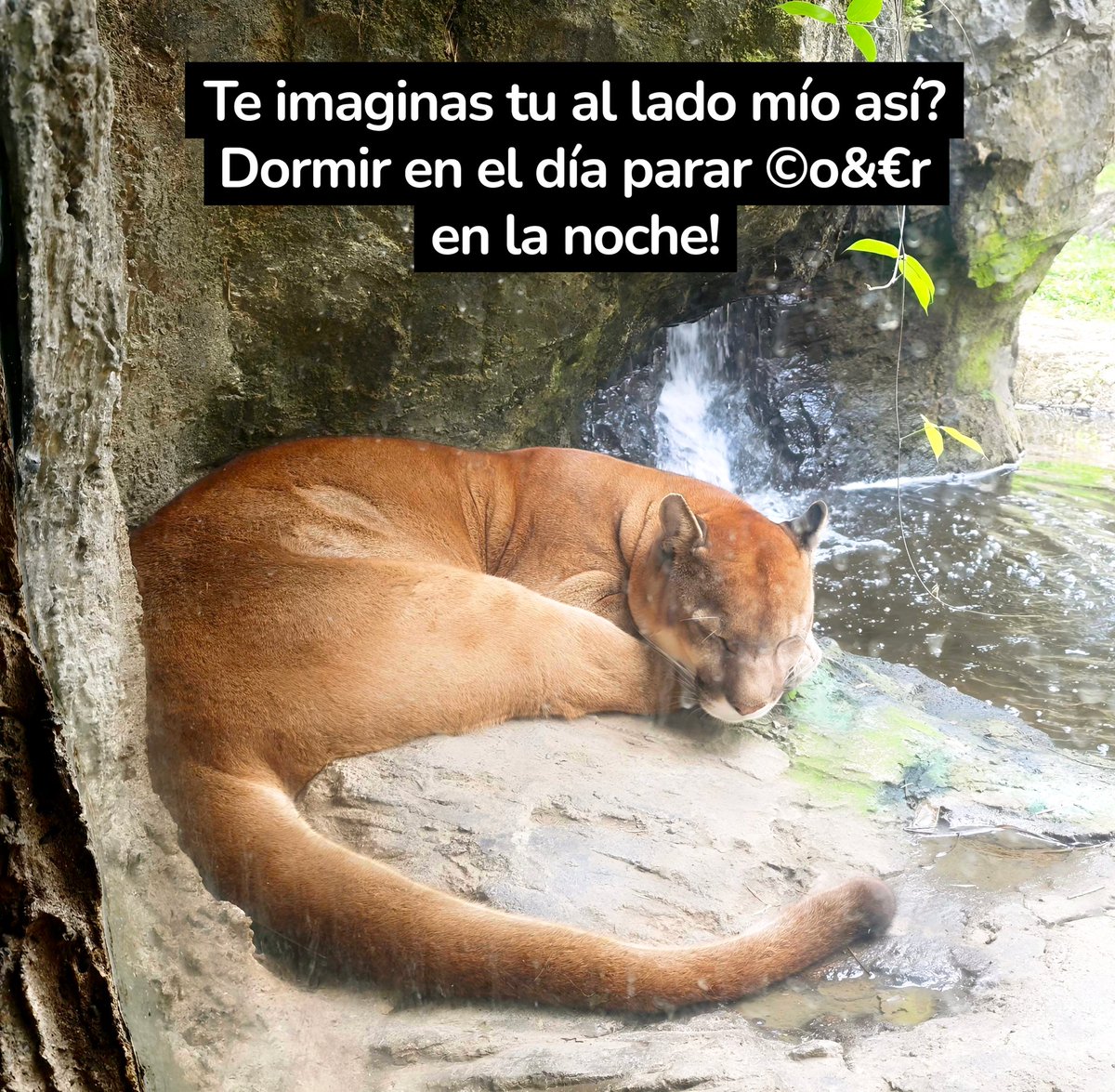 MAO sobre ruedas ♿ 👨‍🦼 🧑‍🦯 🧑‍🦽 (@maonandito) on Twitter photo 