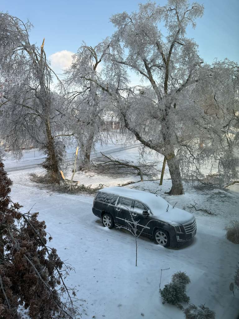 Mark A. Cleveland tweet media