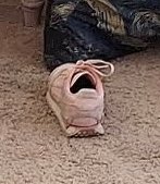 a.🍍| fan account (@broodingananas) on Twitter photo 