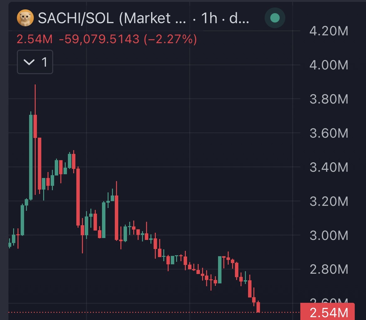 Altsteinn's tweet photo. how active is the $SACHI cult despite the chart looking like this rn? https://t.co/wZ8VZae6WF