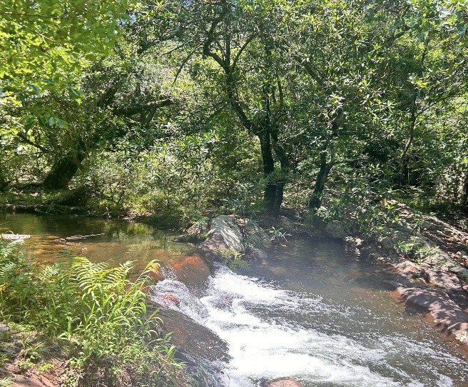 LimpopoLEDET tweet media