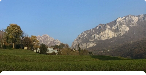 Alessandro Vesely tweet media