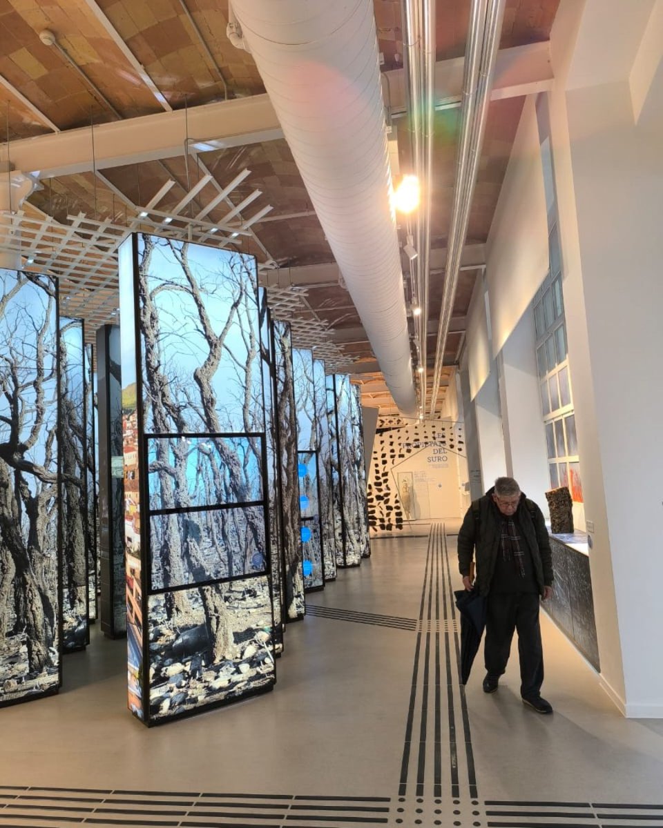 FamiliaiSalutMental tweet media