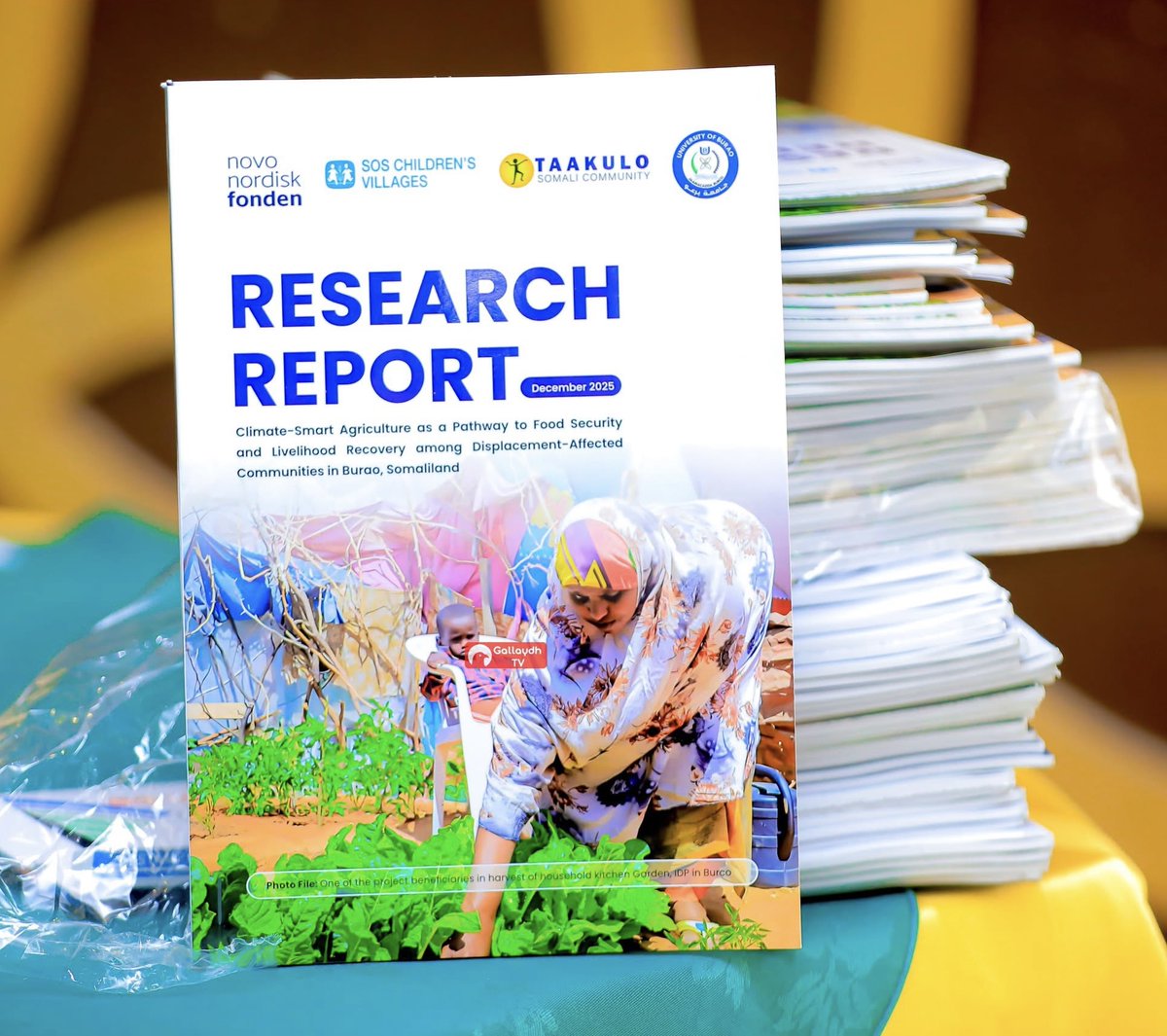 Roble Muse tweet media