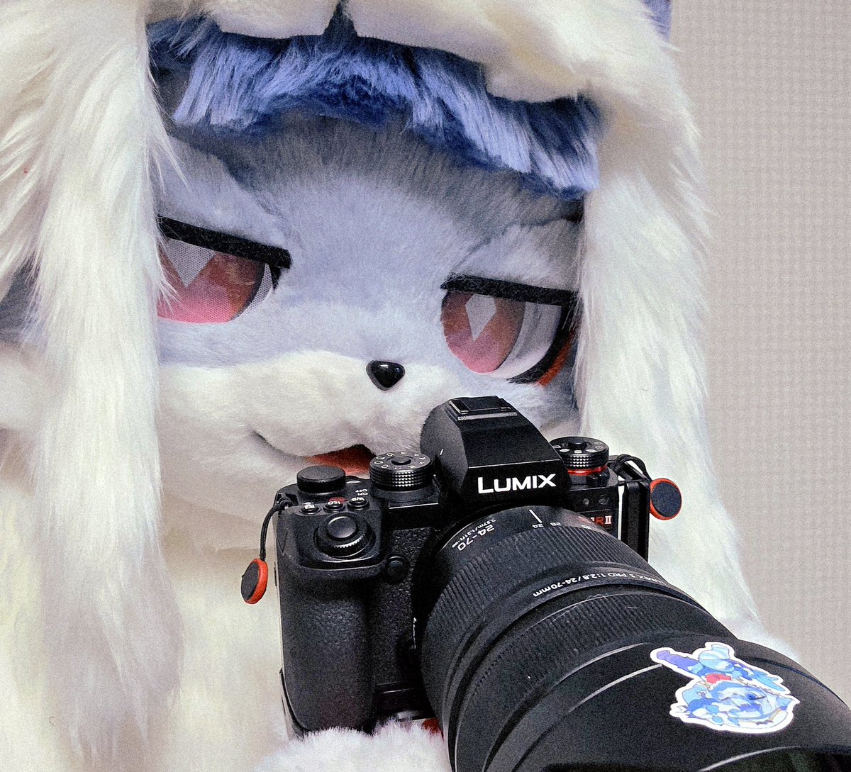 UU_CATS's tweet photo. #FursuitFriday 

카메라 봐줄래?
그리고
항상 그랬던 것 처럼 밝게 웃어줘! ❄️ https://t.co/U2VTeu1IrN