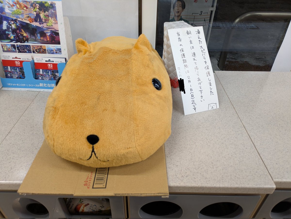 minori_35_15's tweet photo. コンビニ寄ったら迷子のカピバラさんが保護されてた。 https://t.co/HQudAX9H6m