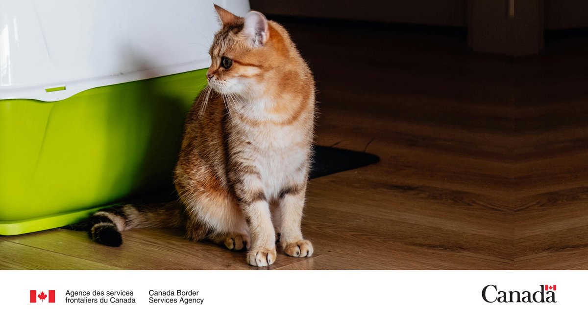 Serv frontaliers PRA tweet media