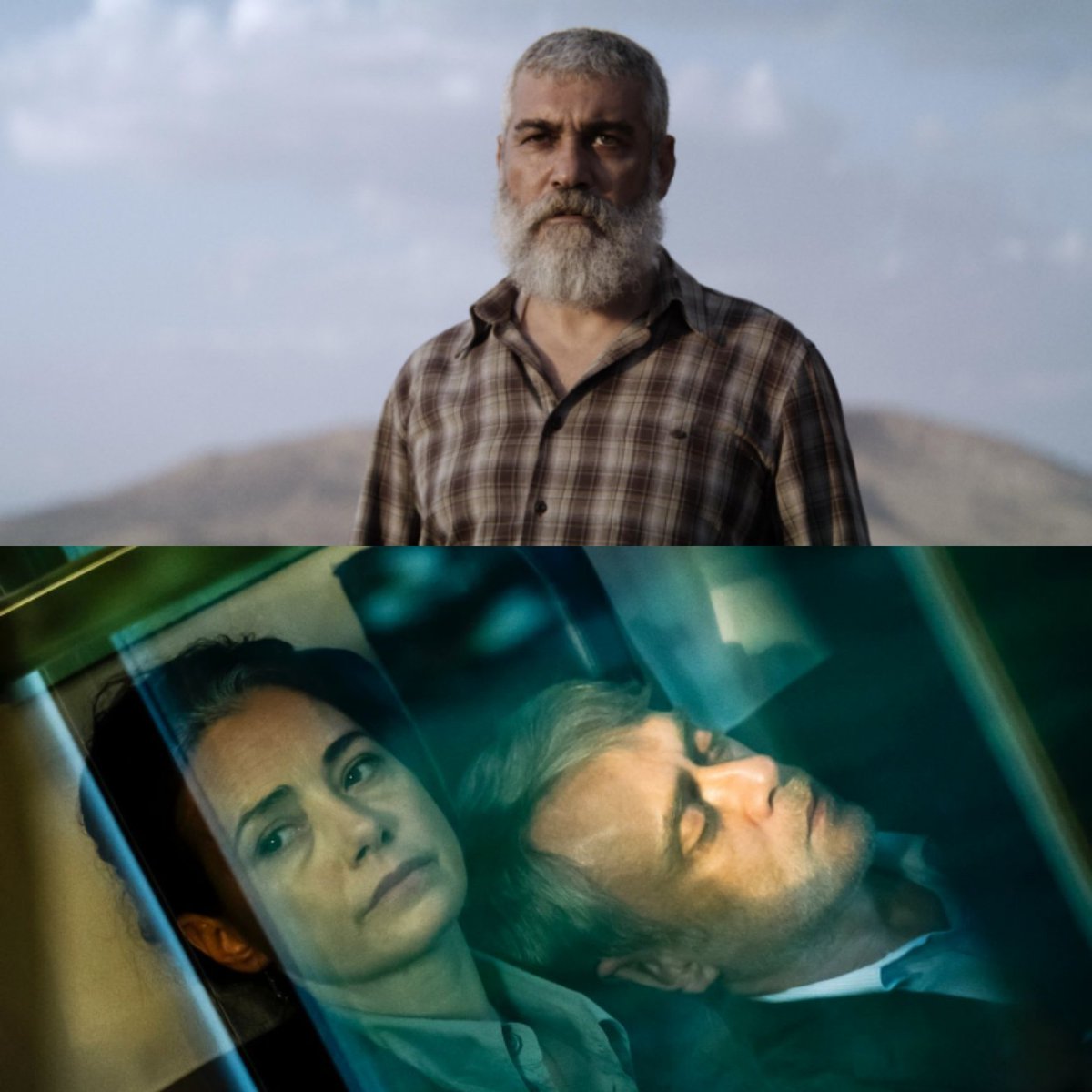 Bu yıl, Berlin Film Festivali tarihinde ilk kez iki Türkiye yapımı film Altın Ayı Ödülü için yarışıyor! 
"Kurtuluş" - Yönetmen: Emin Alper 
"Sarı Zarflar" - Yönetmen: İlker Çatak.