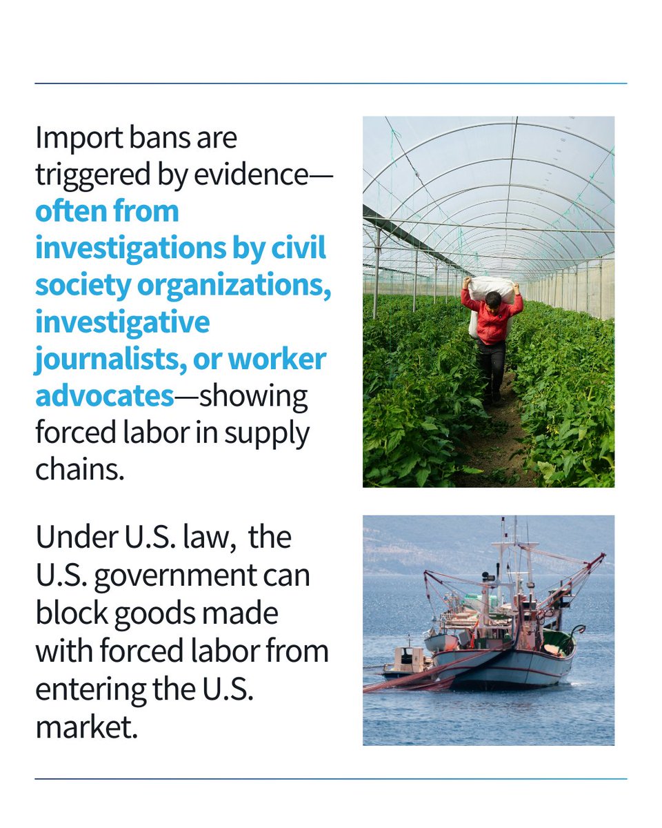 The Human Trafficking Legal Center tweet media