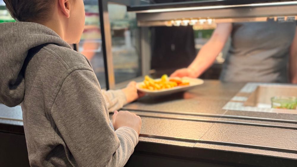 Hamburg: Iglo unterstützt soziale Aktion im Miniatur Wunderland dlvr.it/TQddkd