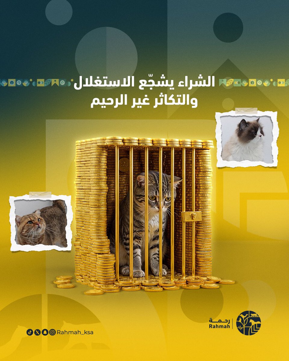 جمعية رحمة للرفق بالحيوان tweet media