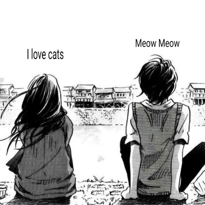 PunchingCat's tweet photo. https://t.co/hbe46uOtPP