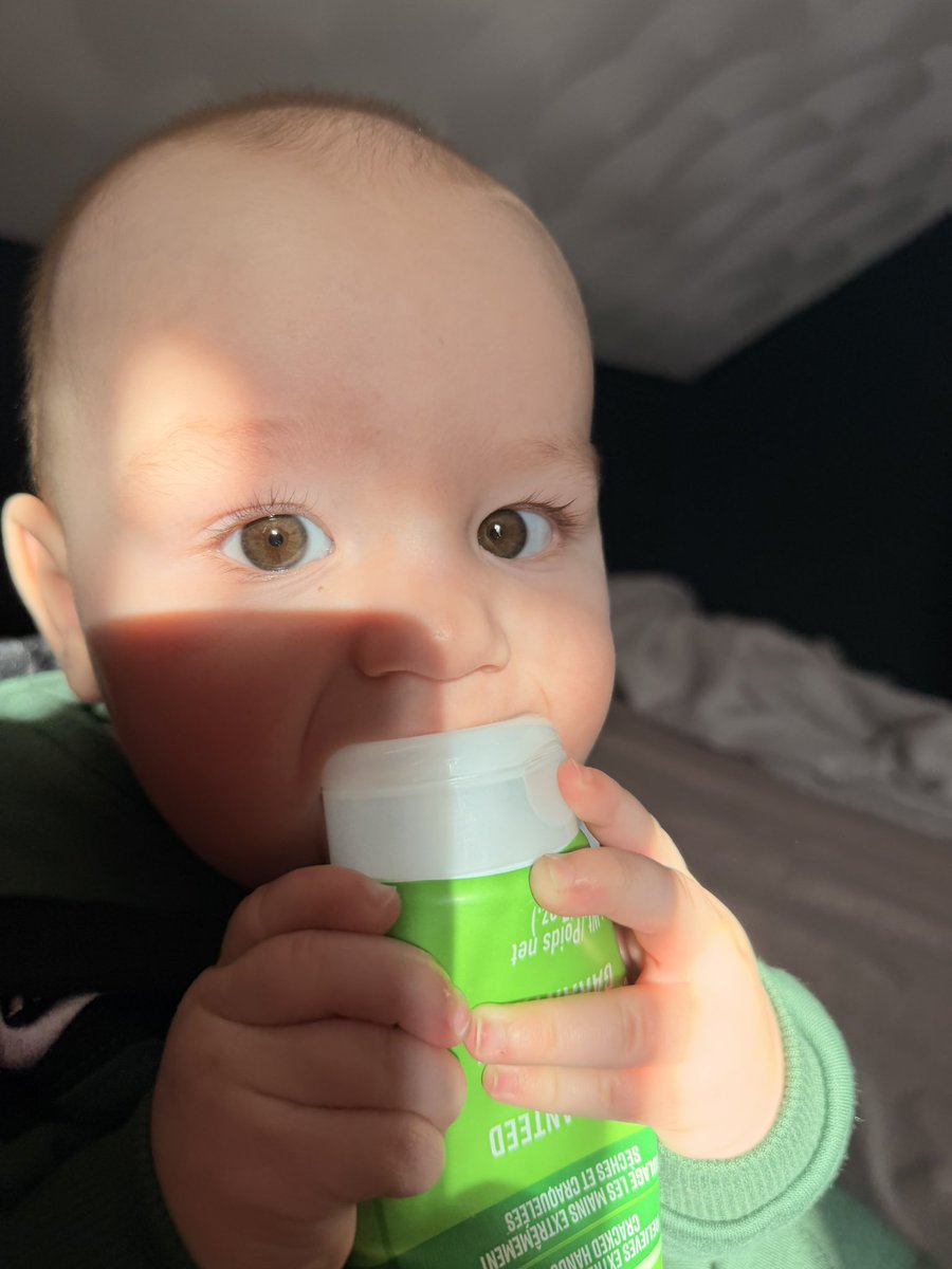 briitm's tweet photo. I can't believe he's mine. I've never been so in love with anything in my life 🥺 https://t.co/bE9InL7jsD
