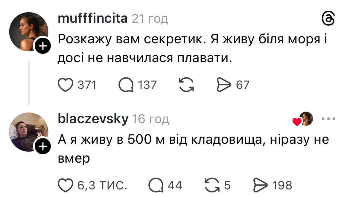 Cat_Murcat tweet media