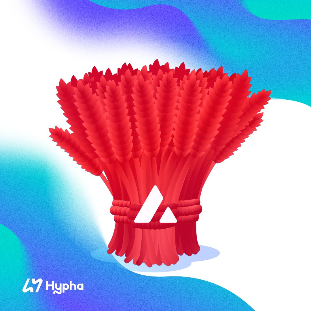 Hypha🌱 tweet media