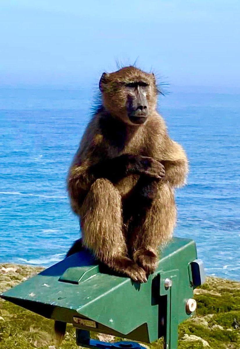 Once in Africa Travel tweet media