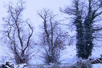 Z I B E T H R O S E | Inspiration & Motivation 🌹 tweet media