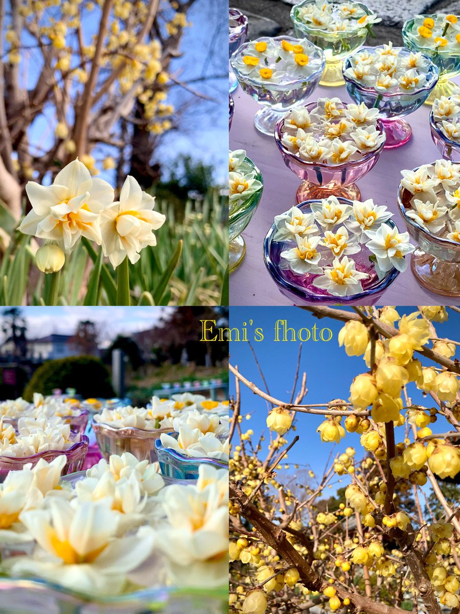 ひでくん♪*ﾟ (@50uEP60X9jI7m0b) / Posts / X