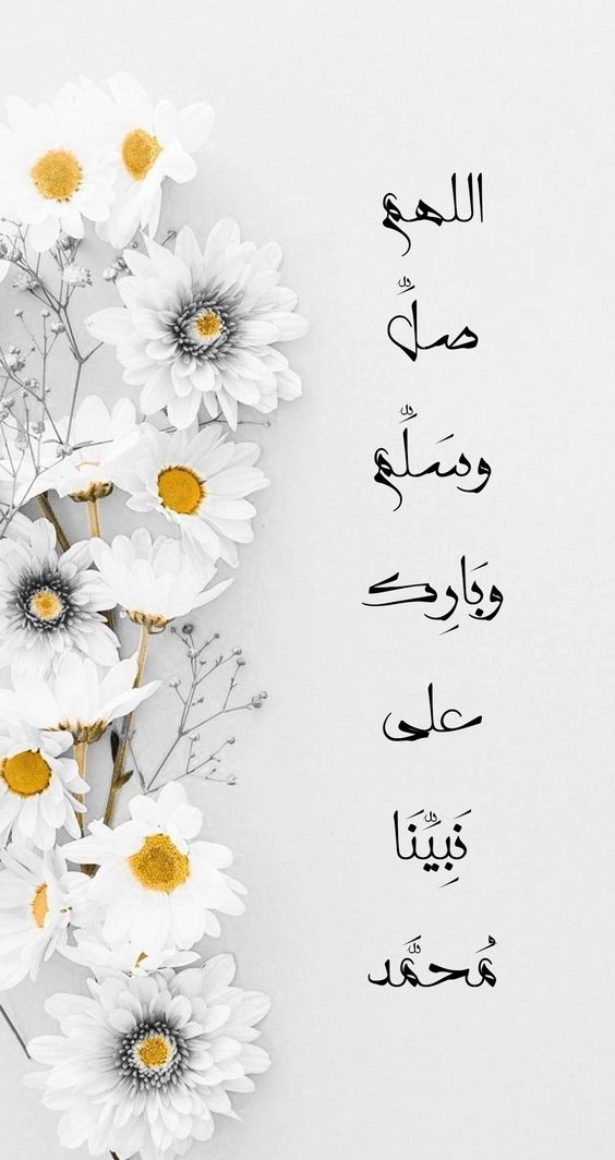 mood1moon's tweet photo. 🌹أسأل اللّٰه أن يجعلني وإياكم من المذكورين بالخير ومن يدعى له بالخير في حياتنا وبعد مماتنا
 آللهم أجعل الجنة دارنا ومقامنا ووال��ينا  وكل أحبابنا وكل من له حق علينا.
جمعه مباركه🌹 ﷺ 🕊 https://t.co/78yzIjwACm