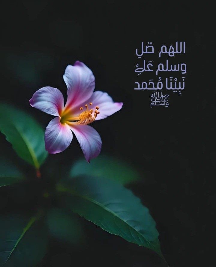 forensicskm's tweet image. قال تعالى:
"  إِنَّ اللَّهَ وَمَلَائِكَتَهُ يُصَلُّونَ عَلَى النَّبِيِ 
يَا أَيُّهَا الَّـذِينَ آَمَنُـوا صَلُّـوا عليه 
وَسَلمُوا تَسْلِيمًا ".
قال عليه الصلاة والسلام:
"أكثروا من الصلاة عليَّ ليلة الجمعة 
ويوم الجمعة فإن صلاتكم معروضة 
عليَّ ".