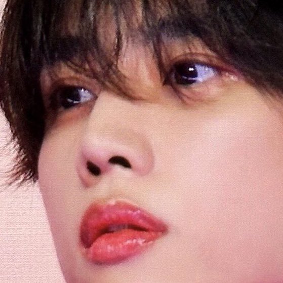 밀선 얘네들 눈에 별⭐️ 넣은 것도 똑같음