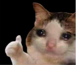 Cosmic Cat tweet media