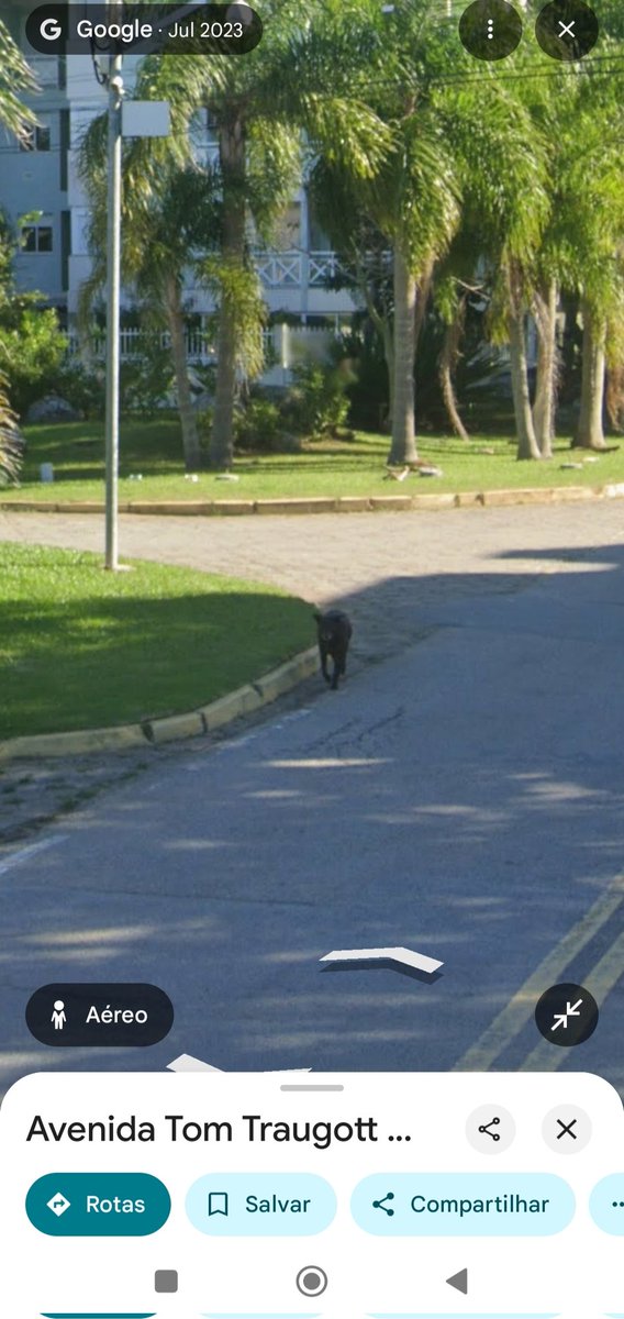 luandefault's tweet photo. Orelha eternizado pelo Google Maps 
🥺
#justicapororelha 🙏🏻 https://t.co/5QP0Dd3H0V