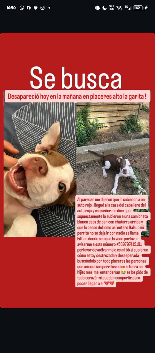 Brenda Etchegaray tweet media